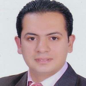 Ibrahim Mostafa-Freelancer in ,Egypt