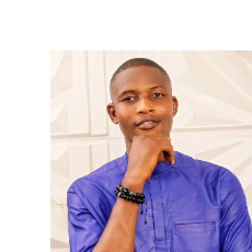Lawal Hammed-Freelancer in Lagos,Nigeria