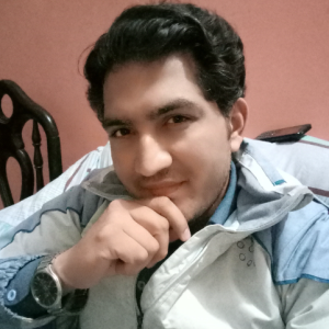 Muhammad Faisal Hameed-Freelancer in Lahore,Pakistan
