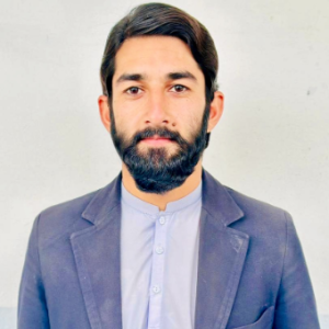 Hamid Ali-Freelancer in Swabi,Pakistan