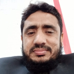 Mazhar Hussain-Freelancer in Kot adu,Pakistan