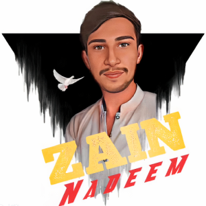 Zain Nadeem-Freelancer in Faisalabad,Pakistan