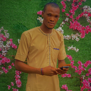 Prestige Digital-Freelancer in Osogbo,Nigeria