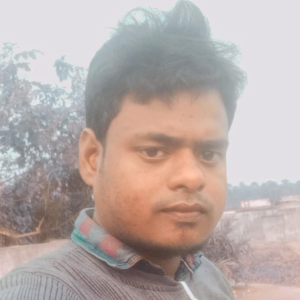 Bidesh Halder-Freelancer in Barasat,India