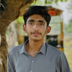 Abdullah Chughtai-Freelancer in Mandi Bahauddin,Pakistan