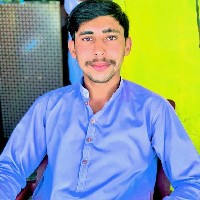 M Salman-Freelancer in Bahawalnagar,Pakistan