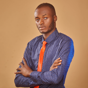 Ramifrees Raphael-Freelancer in Lagos,Nigeria