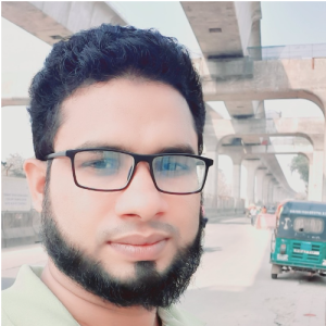Lokman Hossain-Freelancer in Dhaka,Bangladesh