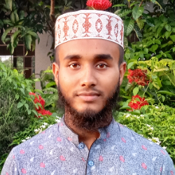 Md.ashraful Alom-Freelancer in narail,Bangladesh