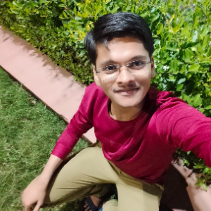 Kuldip Vegad-Freelancer in Vartej,India