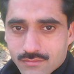 SYED ALAMDAR HUSSAIN NAQVI-Freelancer in DADYAL,Pakistan
