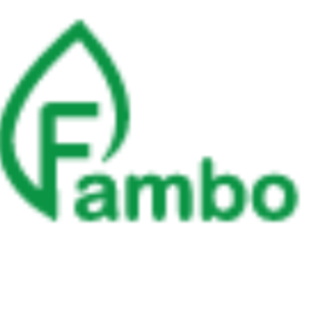 Fambo Technical Services-Freelancer in Noida,India