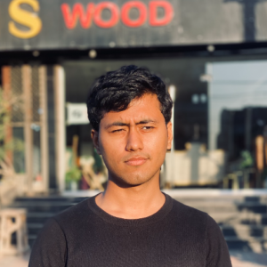 Hamza ali-Freelancer in burewala,Pakistan