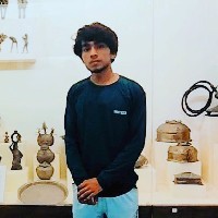 Pankaj Kr.-Freelancer in Delhi Division,India