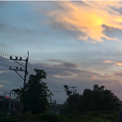 Sakhawat Hossain-Freelancer in Ghorashal,Bangladesh