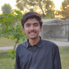 Hassan Khan-Freelancer in kamalia,Pakistan
