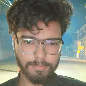 Akshat Chaudhari-Freelancer in Sultanpur,India