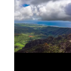 Rahii Jaan-Freelancer in Swabi,Pakistan