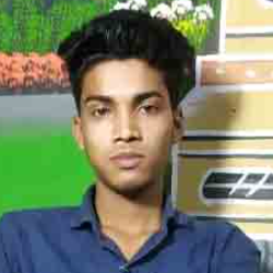 Nozrul Islam-Freelancer in Lakhipur,India