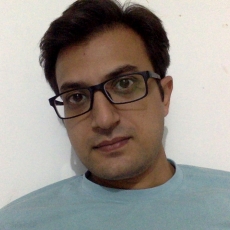  Vaibhav Limbani -Freelancer in Vadodara Area, India,India