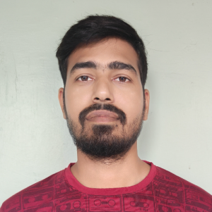 Abhishek Gayari-Freelancer in pratapgarh,India