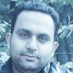Naeem Hameed-Freelancer in Islamabad,Pakistan