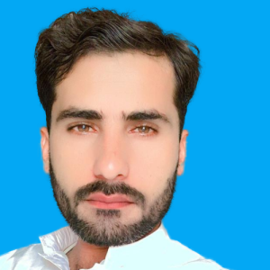 Safdar-Freelancer in Muzaffargarh,Pakistan