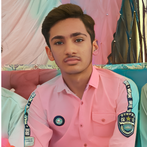 Muhammad Bilal-Freelancer in vehari,Pakistan