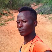 Sammy Kimanzi-Freelancer in voi,Kenya