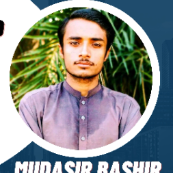 Mudasir Bashir-Freelancer in Dera Ghazi Khan,Pakistan