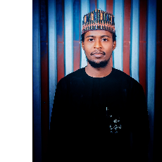 Ibrahim Abubakar Abdullahi-Freelancer in Kano,Nigeria