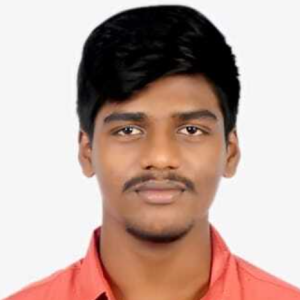 Akash P-Freelancer in Chennai,India