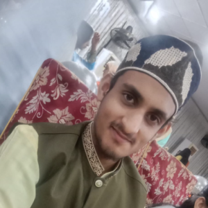 Muhammad Azmeer Khan-Freelancer in Karachi,Pakistan