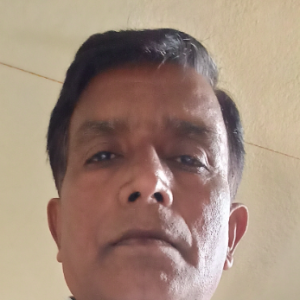 Sheikh Maksud-Freelancer in Ranchi,India
