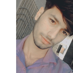 Hamid Raza-Freelancer in Lahore,Pakistan