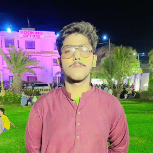 Ameen Rajput-Freelancer in Karachi,Pakistan