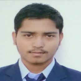 Raj Roy-Freelancer in New Delhi,India