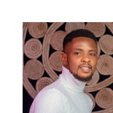 El-hameed Adeiza Ogejah-Freelancer in Abuja,Nigeria