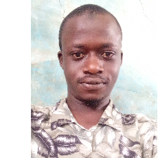 Mh Imam Poultry Services-Freelancer in Katsina,Nigeria