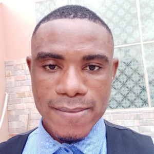 Kingsley Nkwogu-Freelancer in Abuja,Nigeria