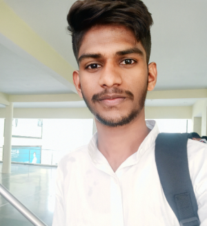Nagaraj Parshaveni-Freelancer in Hyderabad,India