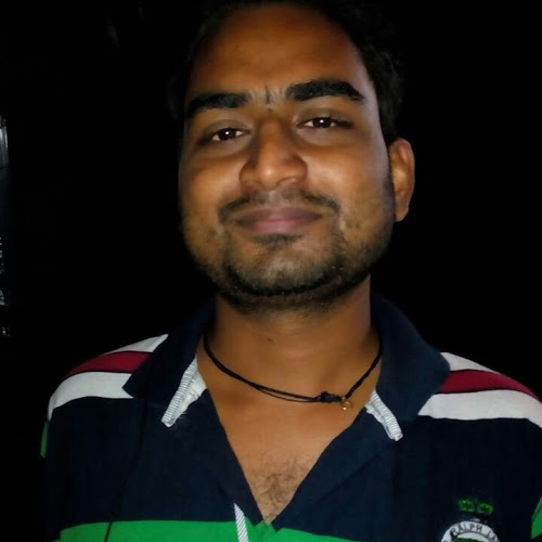 Bipin Swarnkar-Freelancer in Bhilai,India