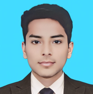 qaswar hussain-Freelancer in mailsi,USA