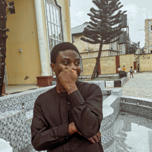 Efosa Aibangbee-Freelancer in Lagos,Nigeria