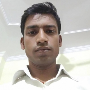 Mukesh Kumar-Freelancer in Patna,India