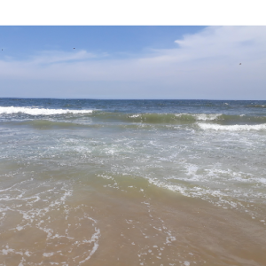 Kavya Mudda-Freelancer in Guntur,India