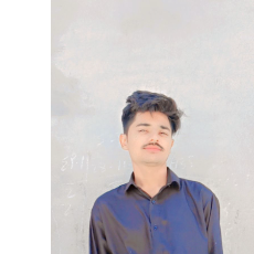 Zee Shan-Freelancer in Faisalabad,Pakistan
