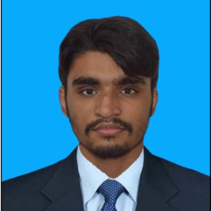 Syed Muhammad Sibghatullah-Freelancer in Islamabad,Pakistan