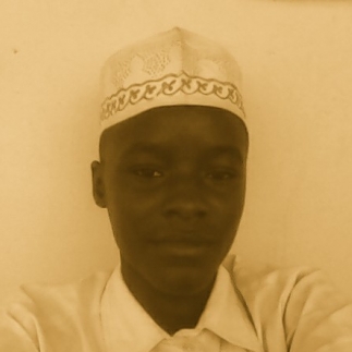 Muhammad Abbagana-Freelancer in Oke Ila,Nigeria