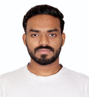 Ratnadip Bhaisare-Freelancer in Bengaluru,India
